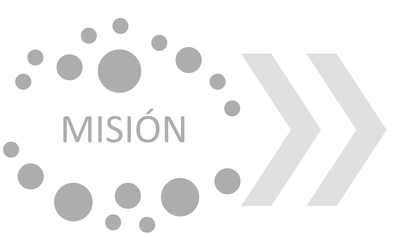 mision