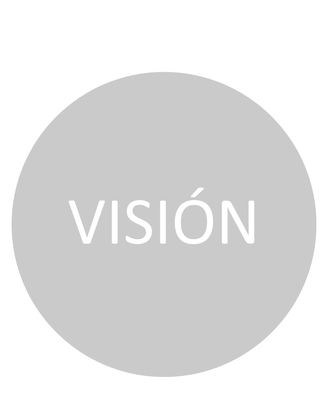 vision